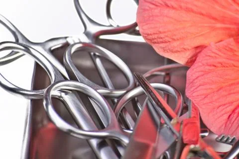 Surgical instruments with rose Stock Photos