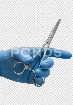 Surgical needle holder in blue gloved hand isolated on transparent background PSD Template
