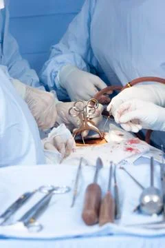 Surgical procedure Stock Photos