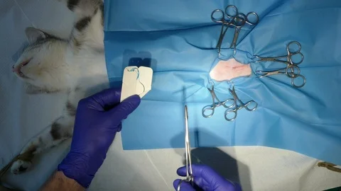 Surgical suture Stock Footage 120942688