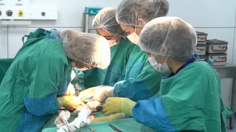 Surgical team performing surgery operation, cesarean section. Stock-Footage 72681657