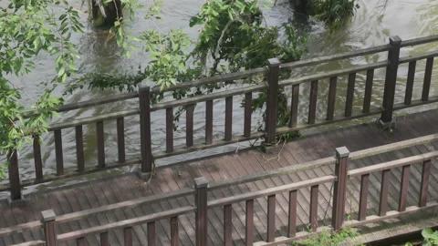 Surging water in flooded river just below boardwalk Stock Footage 137141978