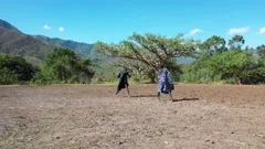 Children making a donga stick fighting i, Stock Video