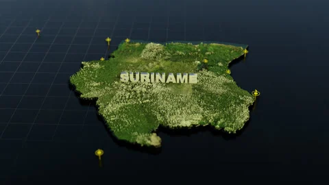 Suriname 3D Map With Animation Stock Footage 310125782
