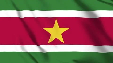 Suriname Flag Animation Stock-Footage 313832369