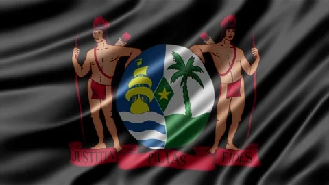 Suriname flag animation waving softly in light breeze showing vibrant coat o Stock Footage 344848229