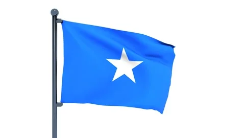 Suriname Flag Stock Footage 150204949