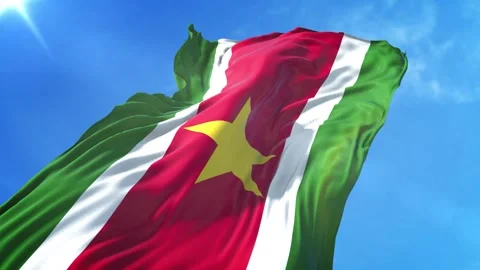 Suriname Flag Low Angle View Stock Footage 295697903