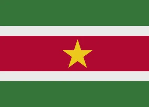 Suriname flag vector イラスト素材