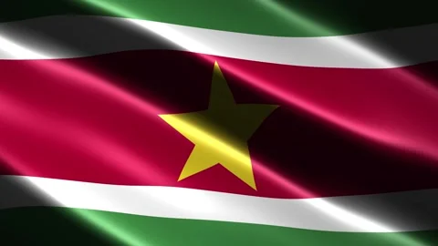 Suriname flag waving in the wind Stock Footage 348689367