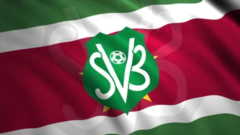 Suriname national football team flag wit... Stock Video Pond5