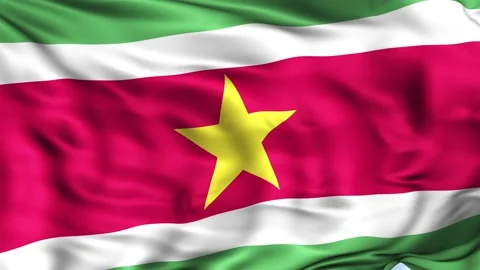 Suriname Waving Flag Background Stock Footage 204134754