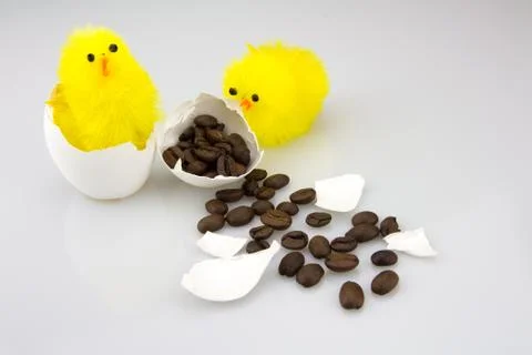 Surprise in the egg Stock Photos