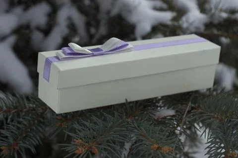 Surprise gift on the tree Stock Photos