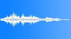 Surprise_CrowdAtMagicShow Sound Effect