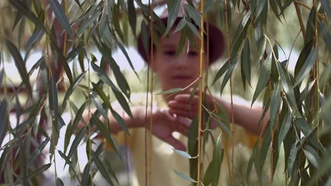 Surprised Little Boy Pulls Back Branches Of Tree And Explores Tree Stock Footage 116089975