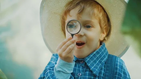 Surprised little farmer is looking through magnifier and saying WOW Video stock 81871534
