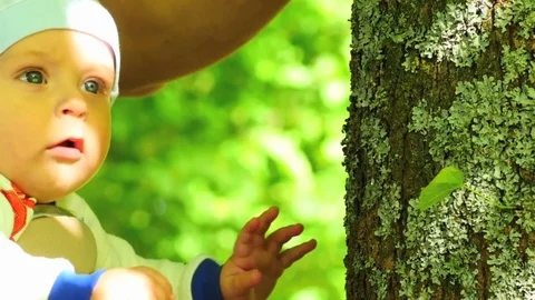 Surprising cute few months old baby touching the tree smooth zoom Stock Footage 76923161
