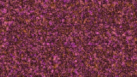 Surreal Abstract Colorful Square Box Floating Screen Saver Loop II Stock Footage 243700481