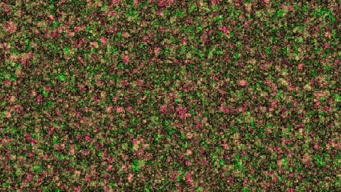 Surreal Abstract Colorful Square Box Floating Screen Saver Loop III Stock Footage 243700552