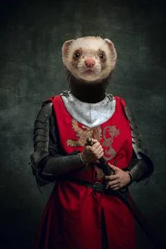Surreal artwork with medieval knight, warrior headed of ferret's head wearing Stock Photos