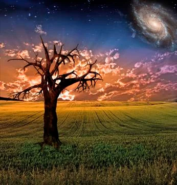 Surreal field Stock Illustration