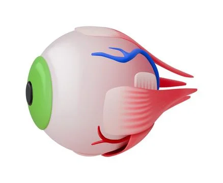 Surreal Fish Eye Creature in 3D Illustration Stock Illustration