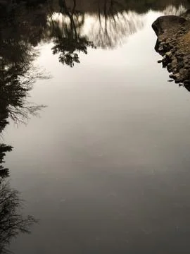 Surreal lake reflections framed by branches and rocks. 写真素材