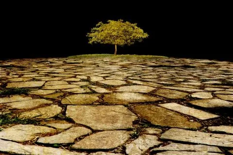 Surreal landscape with single tree on black sky Stock Illustration