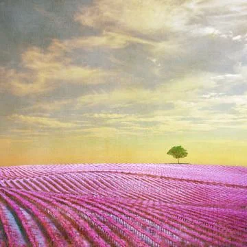 Surreal landscape with single tree Stock Illustration