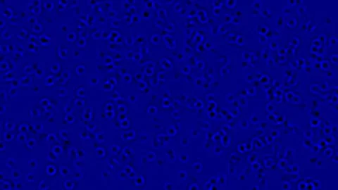 Surreal Microbial Fantasy Stock Footage 290375897