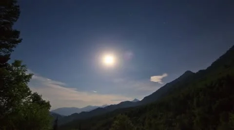 Surreal Moonlit Forest Видео 11295704