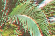 Surreal Palm Leaves Background With Glitch Effect Stock Photos