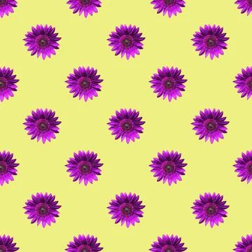 Surreal Pop Art Seamless Pattern of Blooming Purple Sunflowers on Yellow Stock Photos