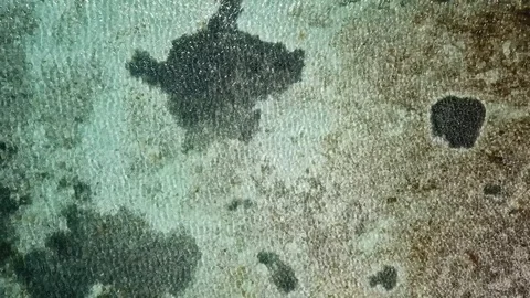 Surreal spiral upward Stock Footage 90056549