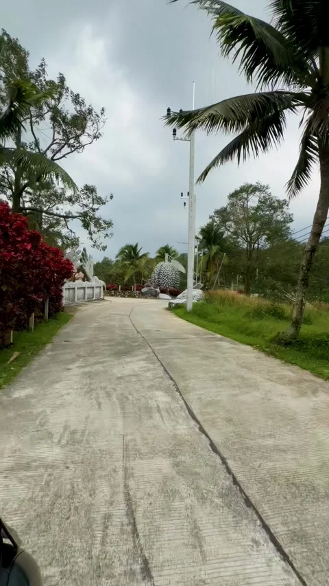 Surreal Stone Hands Guarding Tropical Garden Entrance on Cloudy Day Stock Footage 309133784