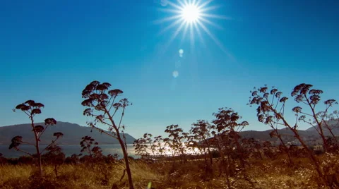 Surreal summer landscape Stock Footage 54726914