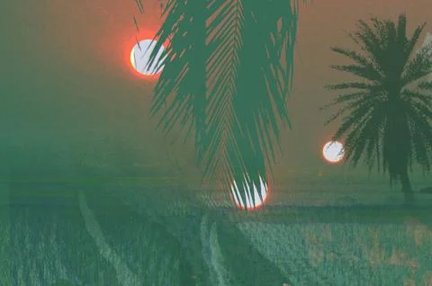 Surreal Tropical Sunset With Multiple Suns, Palm Silhouettes And Dreamy Haz.. Stock Illustration