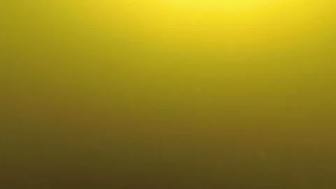 Surreal underwater view. The camera dives under the water in a terrible green Video stock 149444869