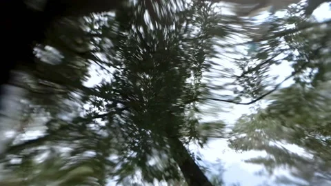 Surreal view from the bottom of the river to the sky, to a tree leaning over the Stock Footage 163518157