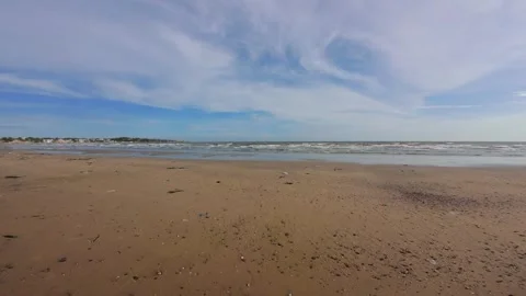 Surreal view of thousands of dead sea shells washed ashore, creating a creepy Stock Footage 344398879
