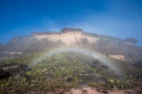 Surreal view on the top of Mount Roraima with rainbow Stock Photos
