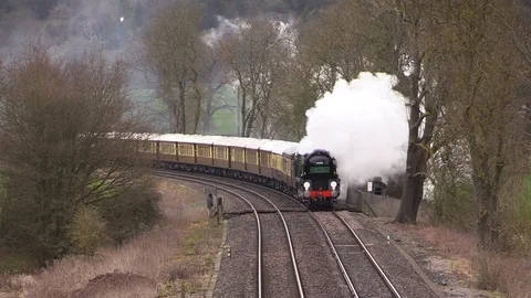 Surrey Hills Mainline Steam Excursion Video stock 110246797
