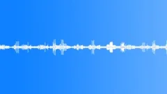 Surround sounding of the Thrush nightingales singing at the night forest edge 2Sound Effect
