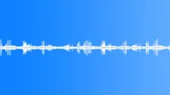 Surround sounding of the Thrush nightingales singing at the night forest edge 4Sound Effect