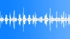 Surround sounding of the Thrush nightingales singing at the night forest edge 5Sound Effect