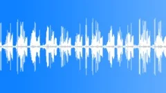 Surround sounding of the Thrush nightingales singing at the night forest edge 6Sound Effect