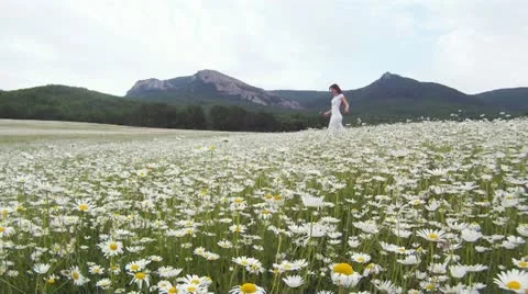 Surrounded by flowers Stock Footage 15660971