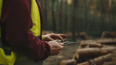 Surrounded by forests, logger engineer in safety helmet and a bright vest re Stock Footage 272144688