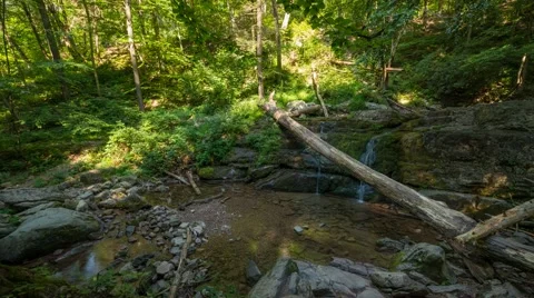 Surrounded By Nature Panning Time Lapse Stock Footage 66757205